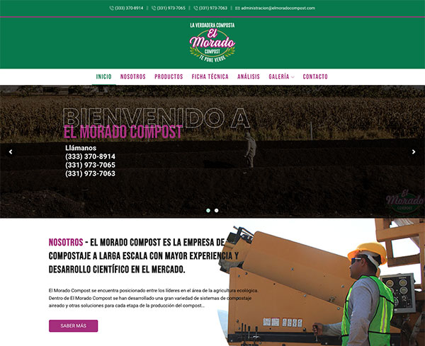 Web development in Guadalajara